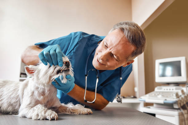 Best 24-Hour Dental Clinic Near Me  in Poydras, LA